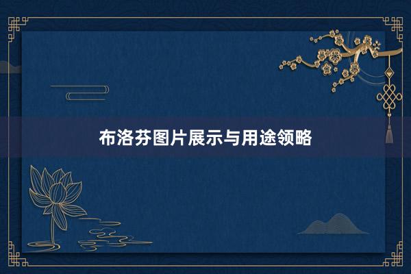 布洛芬图片展示与用途领略