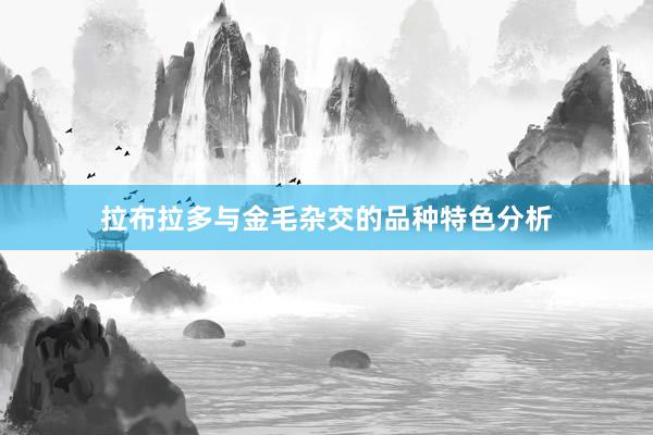 拉布拉多与金毛杂交的品种特色分析