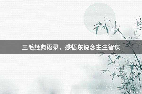 三毛经典语录，感悟东说念主生智谋
