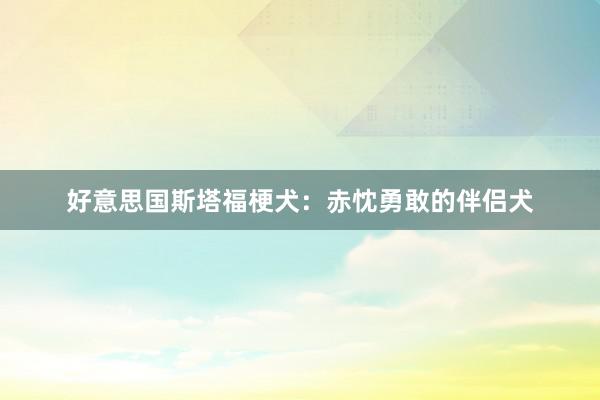 好意思国斯塔福梗犬：赤忱勇敢的伴侣犬